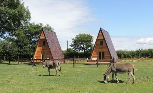 Lodges Les Pieris