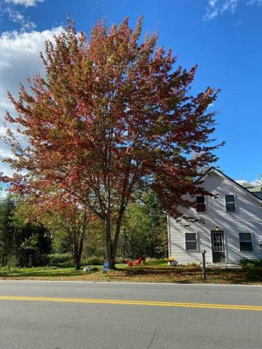Come Play-relax-enjoy! Private Home On 2+ Acres!