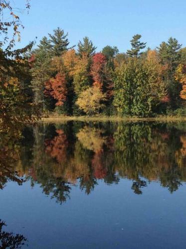 Come Play-relax-enjoy! Private Home On 2+ Acres!