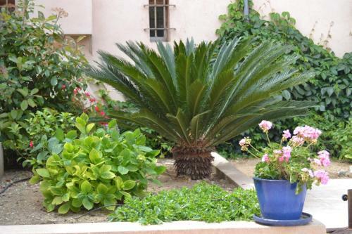 Bed & Breakfast Le Mazet Des M�res