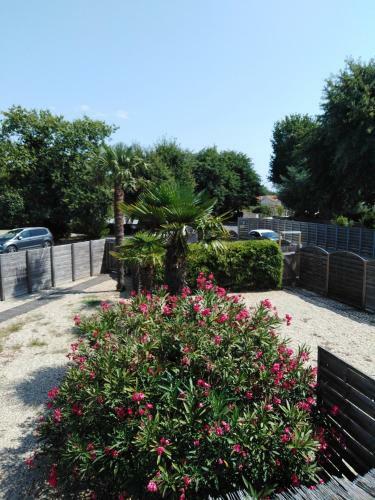 Apartamento Les Palmiers