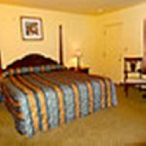 The Whispering Pines Motel- Whitestone
