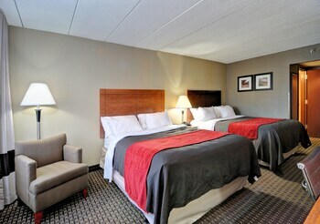 Hotel Comfort Inn & Suites Raphine
