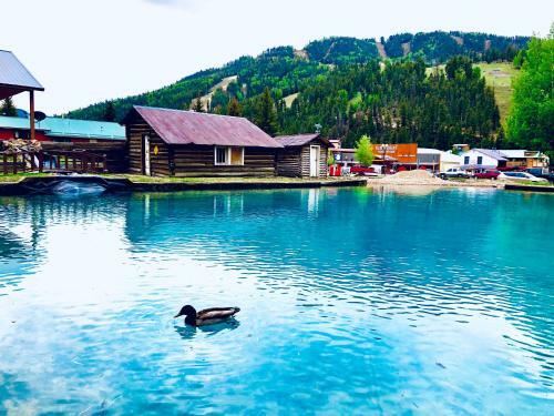 Pioneer Lodge 14
