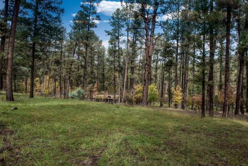 Pinon Park A10, 3 Brs, Deck, Hot Tub, Wifi, Sleeps 8