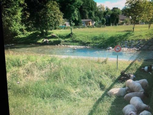 Villa Maison Paisible Au Coeur Des Pyr�n�es