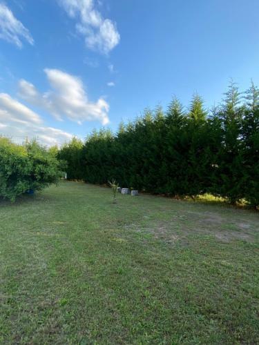 Apartamentos Au Paradis D?alsace 55 M2 Nature & Relax