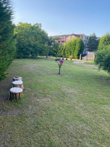 Apartamentos Au Paradis D?alsace 55 M2 Nature & Relax