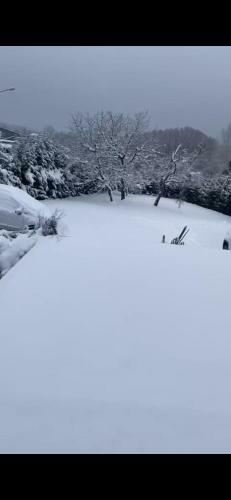 Apartamentos Au Paradis D?alsace 55 M2 Nature & Relax