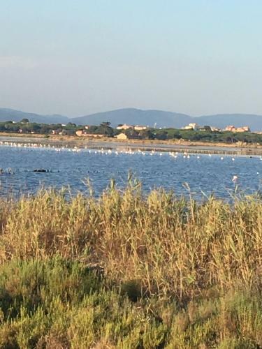 Apartamento Residence Port Hyeres Les Palmiers