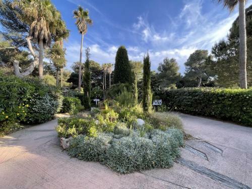 Apartamento Pin�de Plage