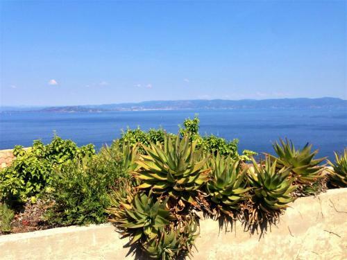 Apartamento Studio Climatis� �le Naturiste Du Levant