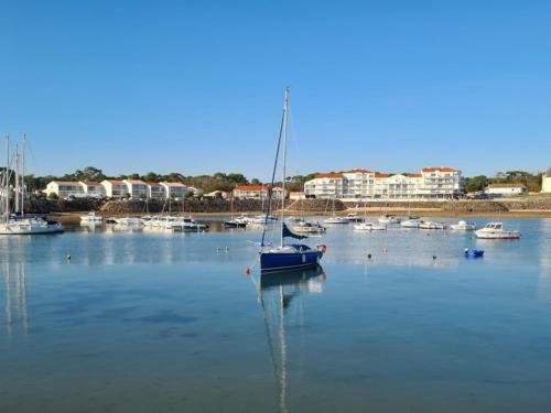 Apartamento Studio Jard-sur-mer, 1 Pi�ce, 2 Personnes - Fr-1-357-277