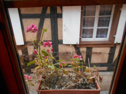 Apartamento La Cour Des Meuniers - Le Froment