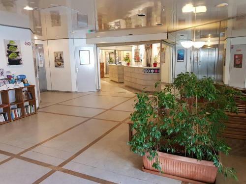 Apartamento Studio Juan Les Pins