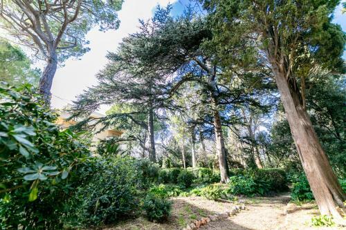 Apartamento Le Chateau De La Pinede
