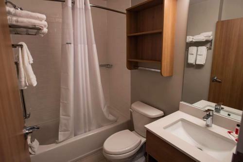 Hotel Microtel Inn & Suites By Wyndham Amsterdam