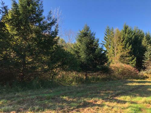 Tentrr Signature Site - Camping In The Pines