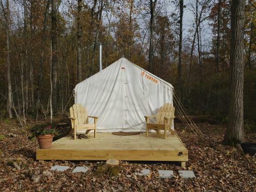 Tentrr - The Magic Glamp