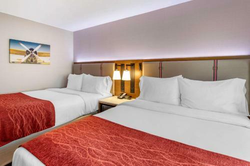 Hotel Comfort Inn Jfk Airport