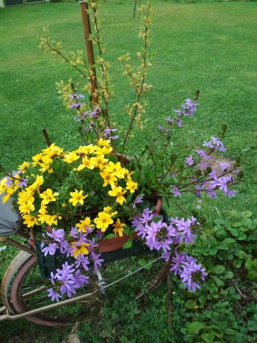 Bed & Breakfast Falgueret