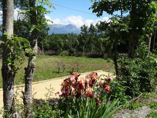 Bed & Breakfast Maison D'h�tes L'arnica