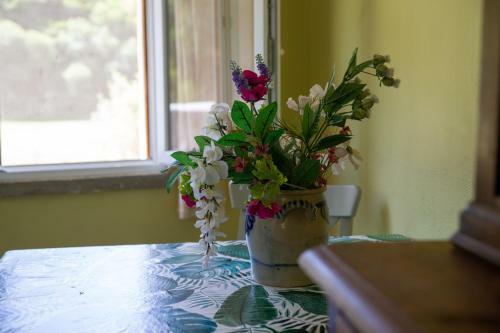 Bed & Breakfast Studio � Deux Au Blagour