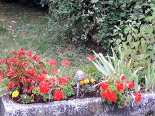 Bed & Breakfast La Ferme Des Tertres