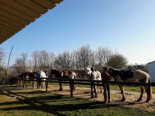 Bed & Breakfast La Ferme Des Tertres