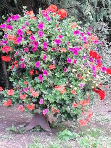 Bed & Breakfast La Ferme Des Tertres
