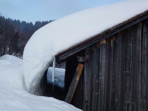 Apartamento La Maison, Authentic Restored Appartment With External Sauna