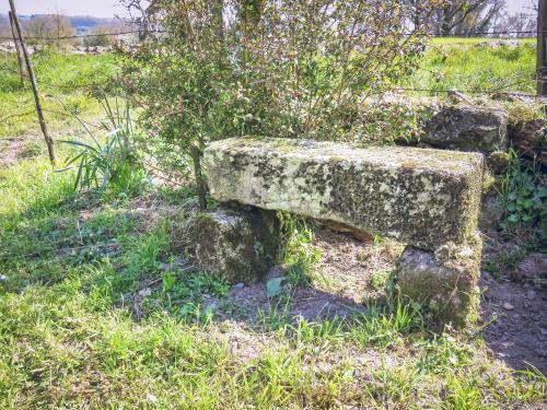 Domaine Des F�es