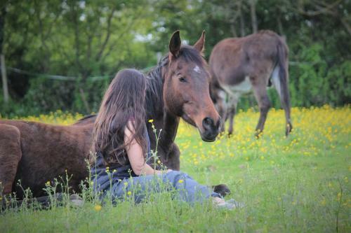Domaine Des F�es