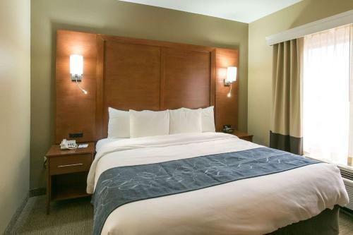 Hotel Comfort Suites Austin Nw Lakeline