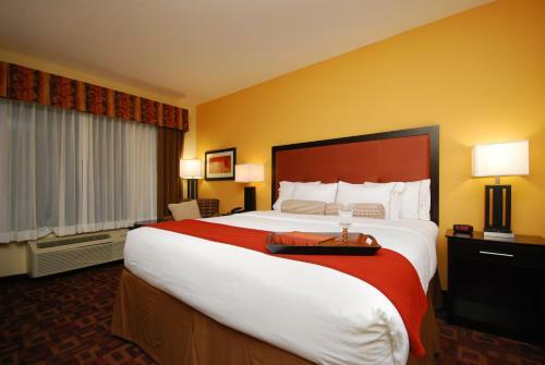 Hotel Holiday Inn Express & Suites Gonzales