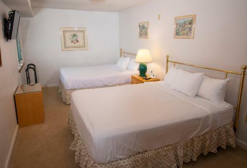Aparthotel Mountain Lodge At Okemo
