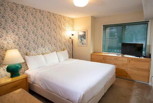 Aparthotel Mountain Lodge At Okemo