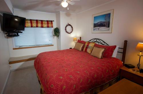 Aparthotel Mountain Lodge At Okemo