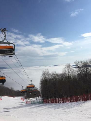 Aparthotel Mountain Lodge At Okemo