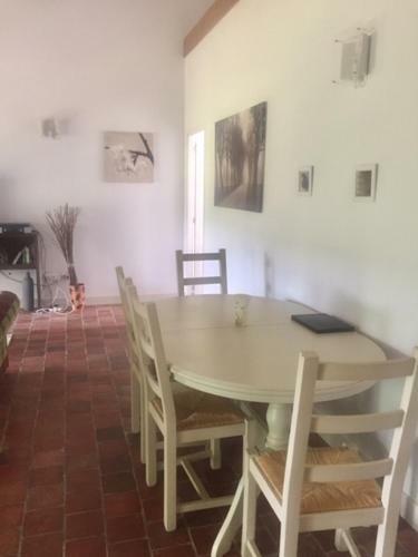 Large One Bedroomed Suite Apartment