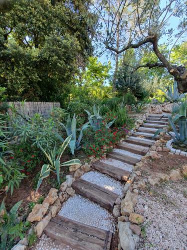 Apartamento 1262 Chemin Des Pignatelles