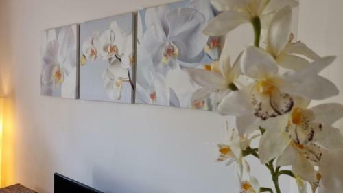 Apartamento Villa Au Golf De St-endr�ol