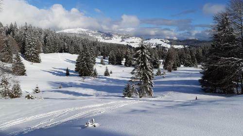 Chalet Les Epilobes