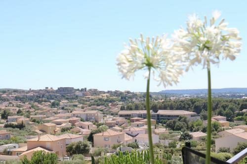 Belle Villa En Provence