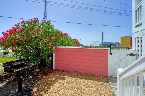 San Flamingo 486