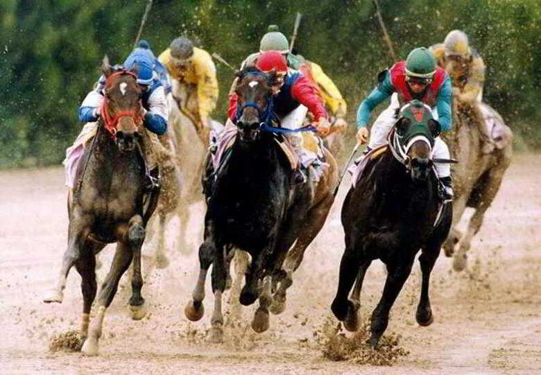 Hotel Residence Inn Houston Northwest / Willowbrook