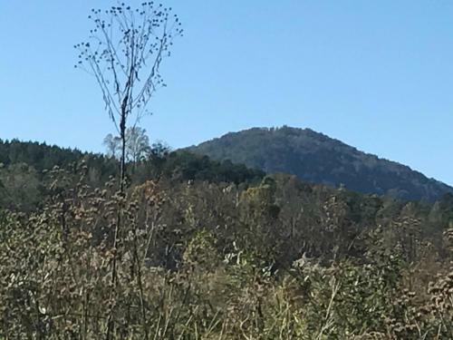 Tentrr - Happy Tales Campsite