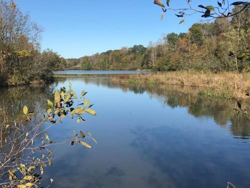 Tentrr - Happy Tales Campsite