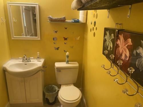 Private Mountain Cottage On 7 Acres & Creek