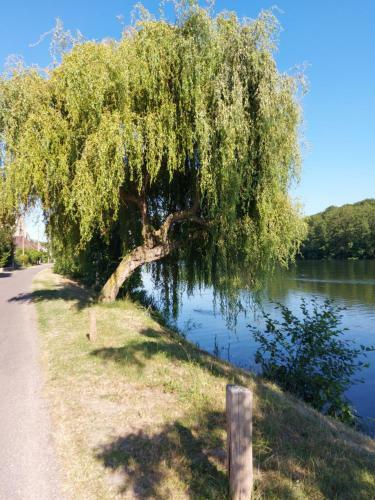 Bed & Breakfast Calme Au Bord De L'eau